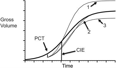 Modelling the stand dynamics after a thinning induced partial mortality: A compensatory growth perspective